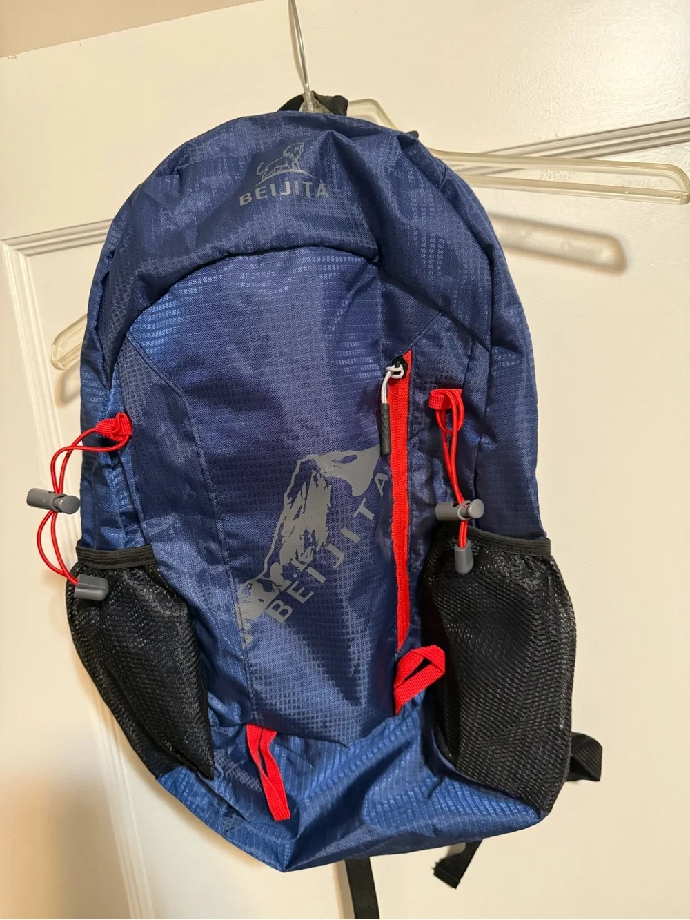 Blue Daypack Backpack with Red Accents